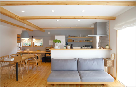 House image