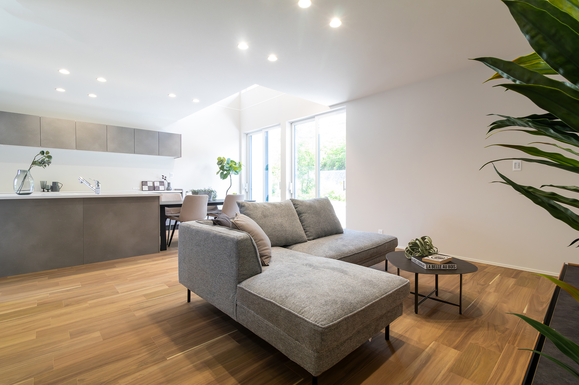 House image