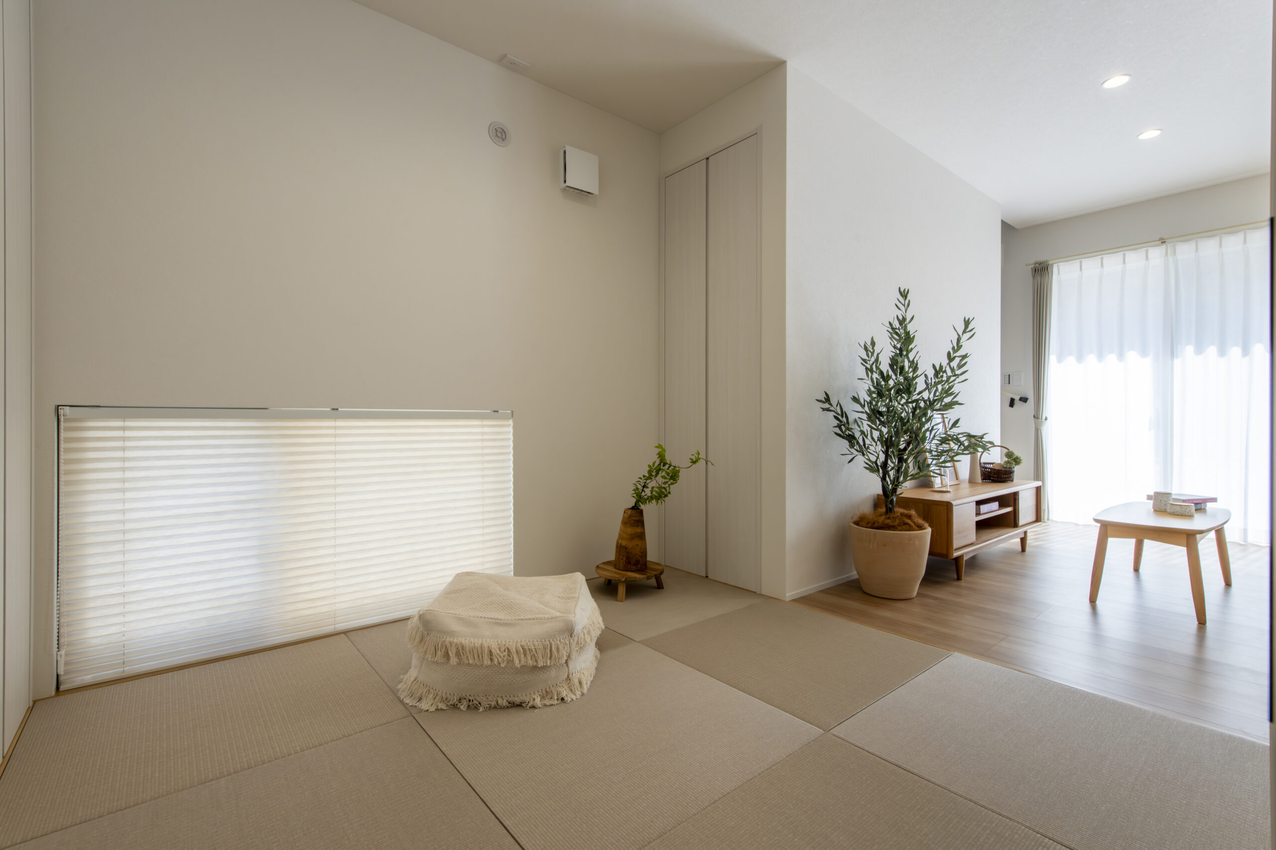 House image