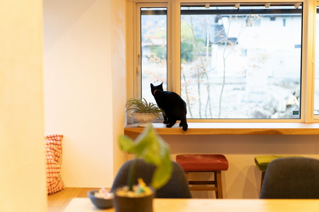 景色を眺める窓際の特等席