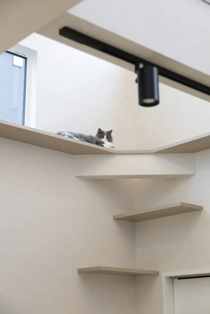 夫婦と犬と猫2匹の住む上質ハウス