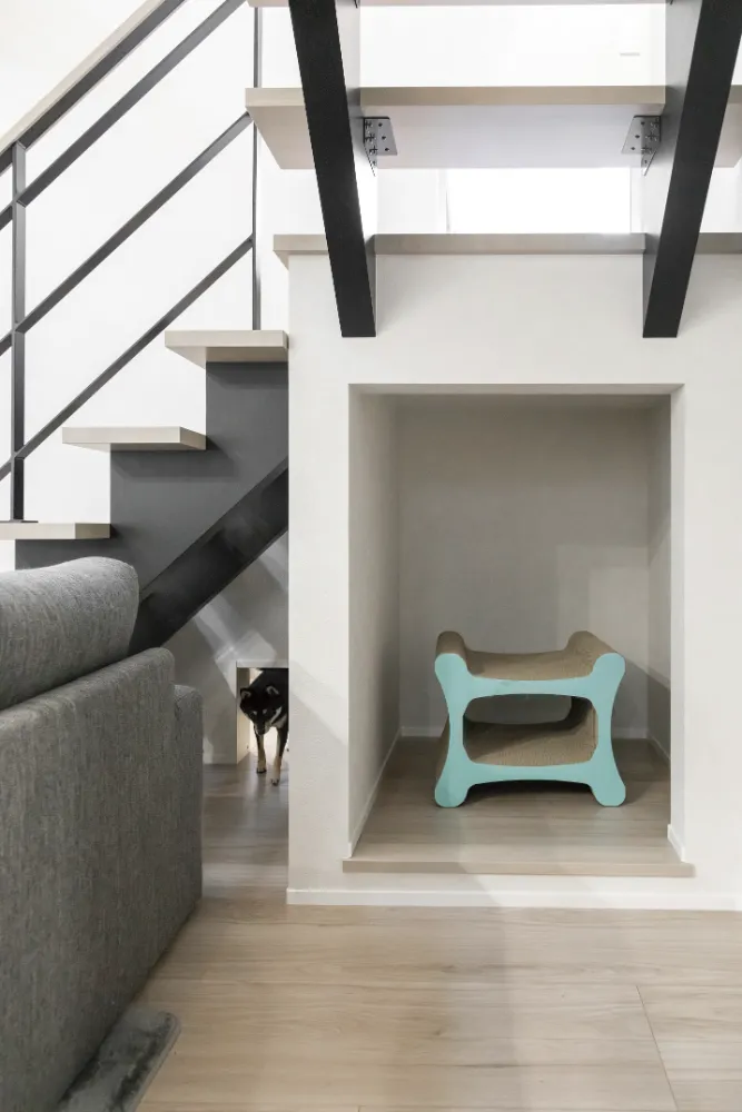 夫婦と犬と猫2匹の住む上質ハウス